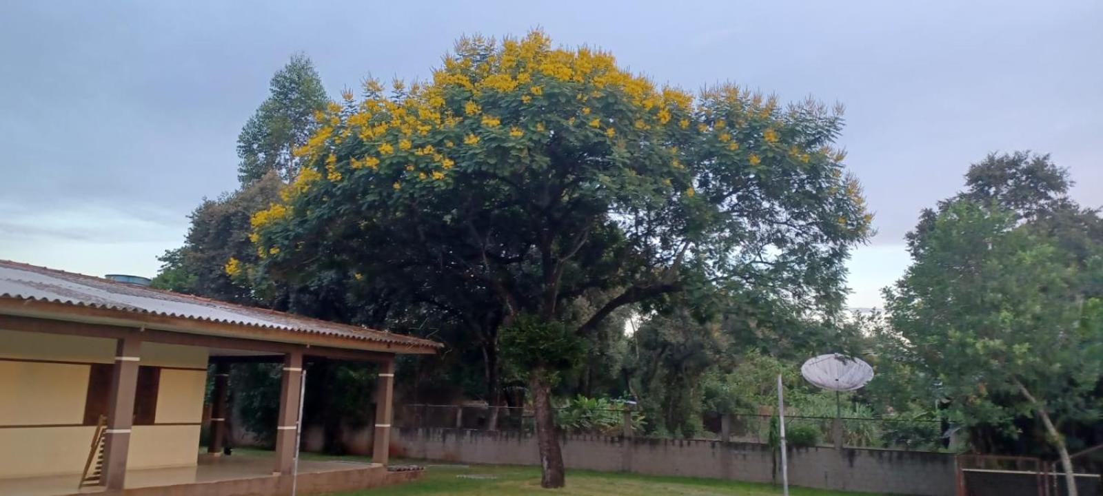 Chacara Barro Branco *